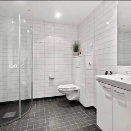 Apartment Sentral Til Utleie *